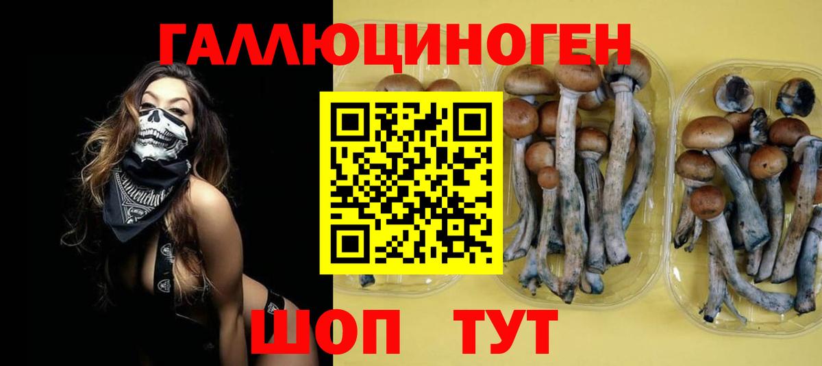 Шелехов  Галлюциногенные грибы Magic Shrooms  Псилоцибиновые грибы Psilocybe  Вход с VPN 